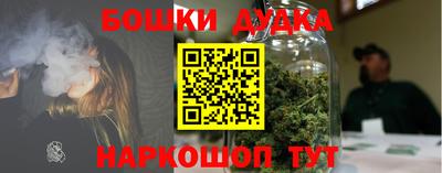 индика Кинель