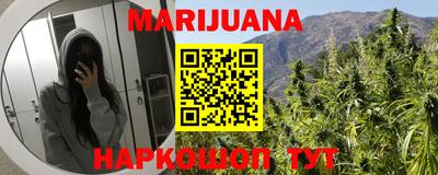 индика Кинель