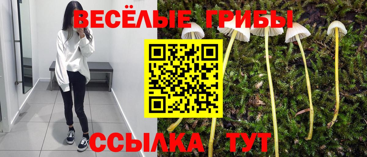 Галлюциногенные грибы мицелий Красноуфимск